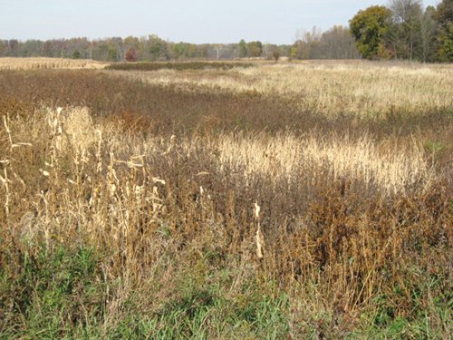 Property photo 16 - 212 Acres Offered in 6 Tracts - Selling Regardless of Price
